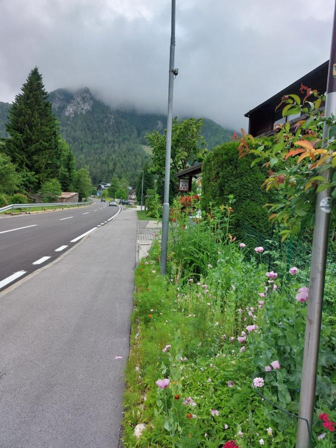 Stefka Apartment Kranjska Gora